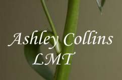 Ashley Collins LMT