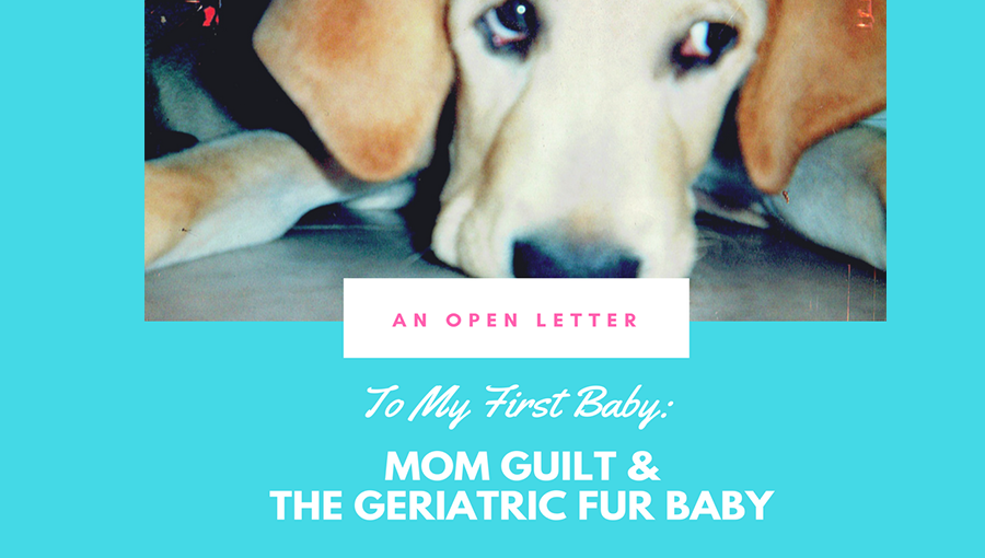 Mom Guilt and My Geriatric Fur Baby