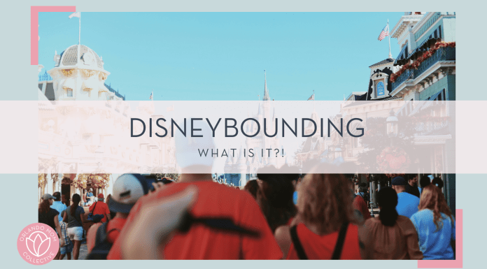 Amy humphries via unsplash image of people walking down Main Street usa toward cinderella castle with words 'disneybounding what is it!?' over top