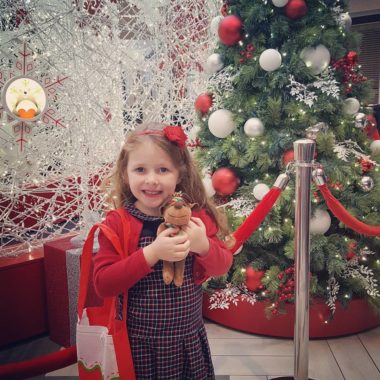 The Florida Mall Dazzles Families with All-New Santa Set!
