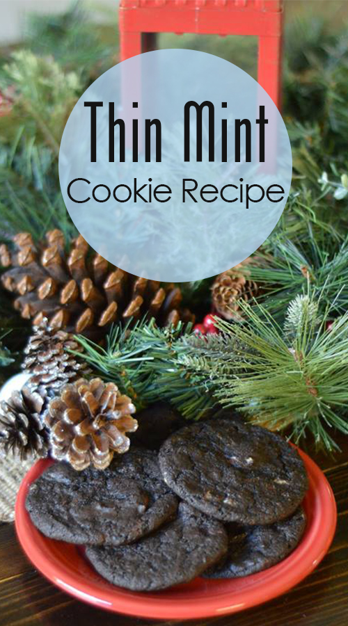 Thin Mint Cookie Recipe