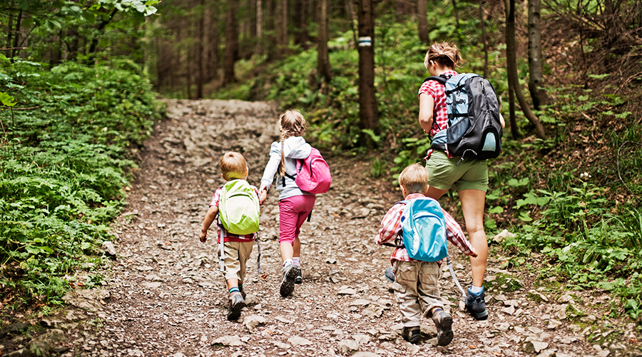 Get Outdoors! 4 Family Friendly Hiking Trails within the Orlando and ...