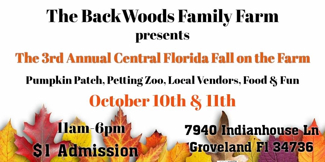 Guide to Fall Festivals in Central Florida