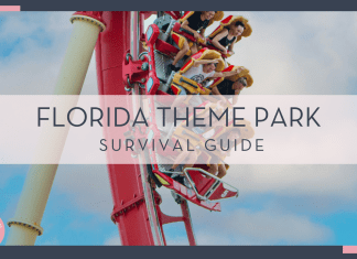 itai aarons via unsplash photo of people on a red rollercoaster with hands up and yelling with text 'florida theme park survival guide' over top of the image