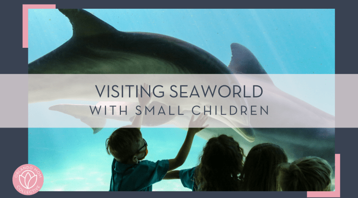 Mick Haupt via Unsplash photo of four kids at the glass looking in aquarium with dolphin - "visiting seaworld with small children" in text over