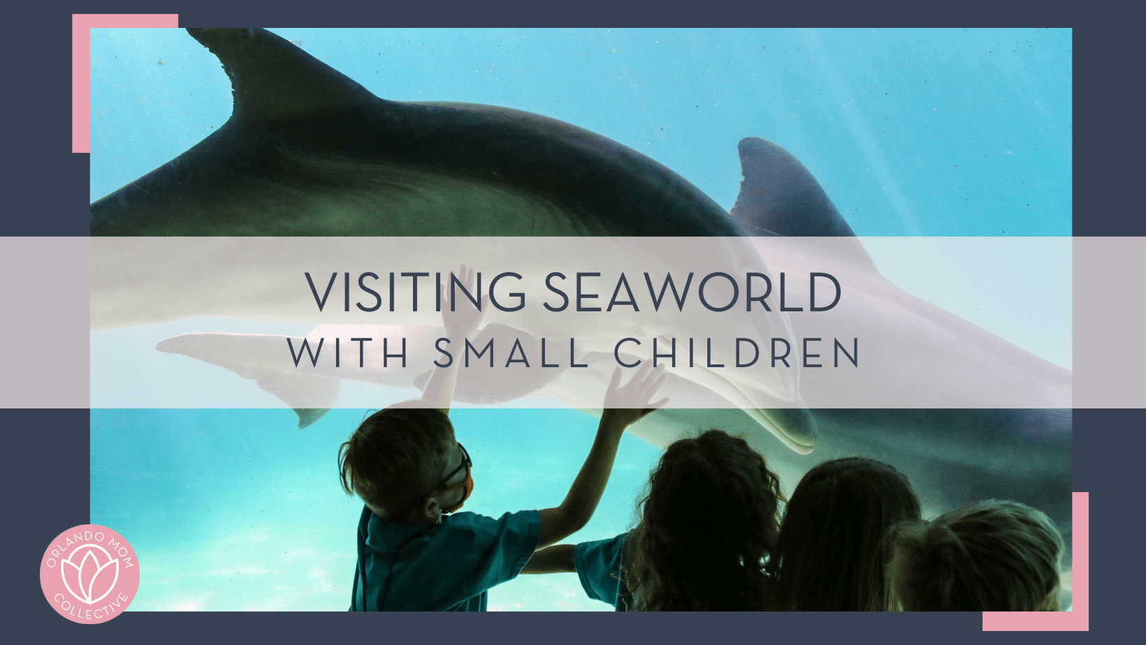 Mick Haupt via Unsplash photo of four kids at the glass looking in aquarium with dolphin - "visiting seaworld with small children" in text over
