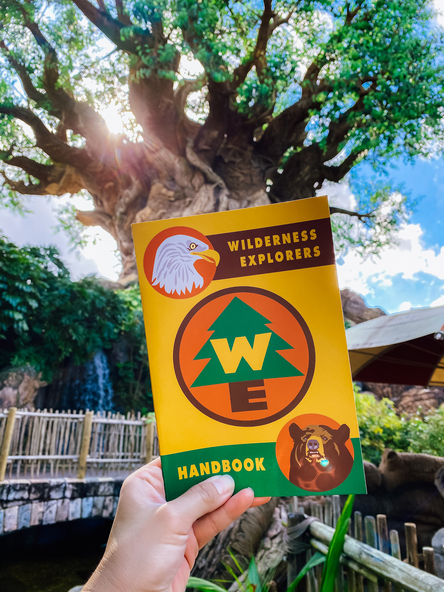 Wilderness Explorer book in orange, brown, green and yellow with tree of life behind