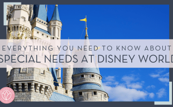 Brian mcgowan via unsplash photo of the side of cinderella castle with words 'everything you need to know about special needs at disney world' on top