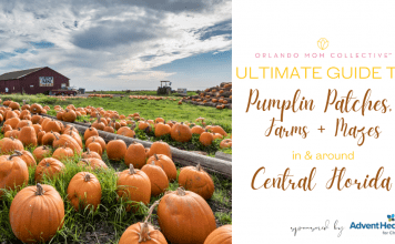 Pumpkin Patches, Farms + Mazes
