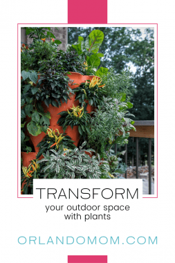 transform your outdoor space with plants