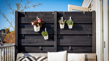 transform your outdoor space with plants