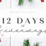 12 Days of Giveaways Day