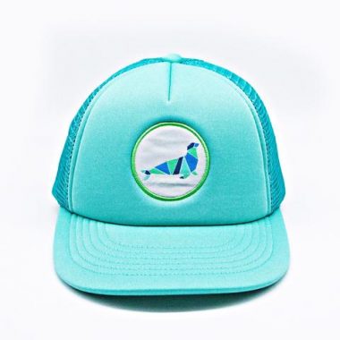 Posted team hat