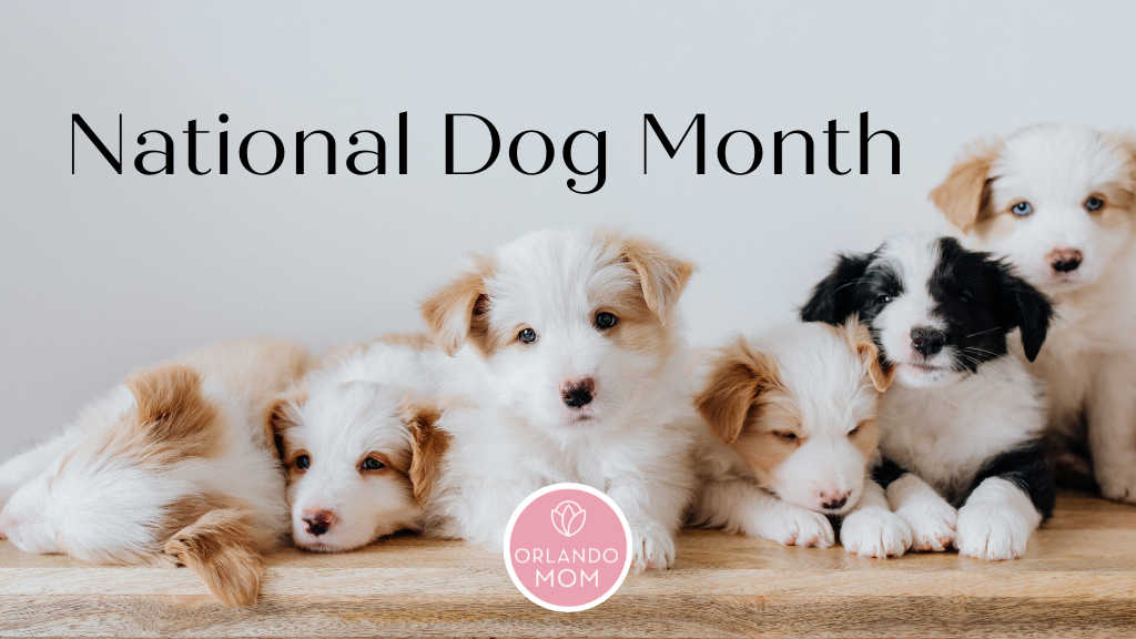 National Dog Month