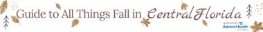 Ultimate Guide to Fall
