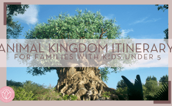 Stephanie klepacki via unsplash photo of the tree of life with 'animal kingdom itinerary for families with kids under 5' over top
