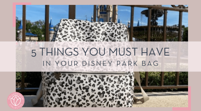 gray leopard print bag in front of fence with cinderella castle behind with '5 things you must have in your disney park bag' in text in front of image