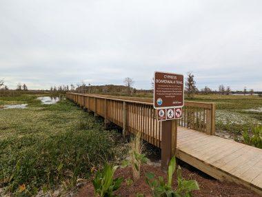 Cypress Board Walk at Orlando Wetlands Park