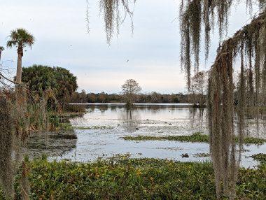 Orlando Wetlands park