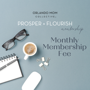 Prosper & Flourish, Women in Business Membership Program