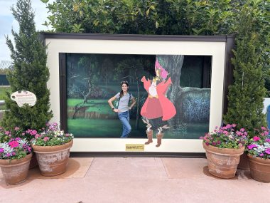 frame with a person inside and character from sleeping beauty
