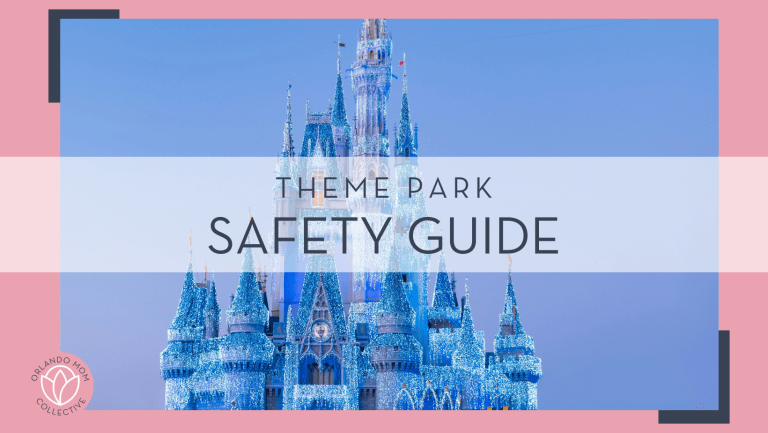 The Ultimate Guide to Theme Park Safety