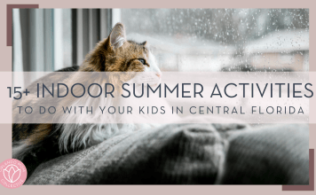 Keenan Barber via unsplash photo of a cat on the back of a couch looking out a rainy window with words '15+ summer activities to do with your kids in Central Florida' overtop