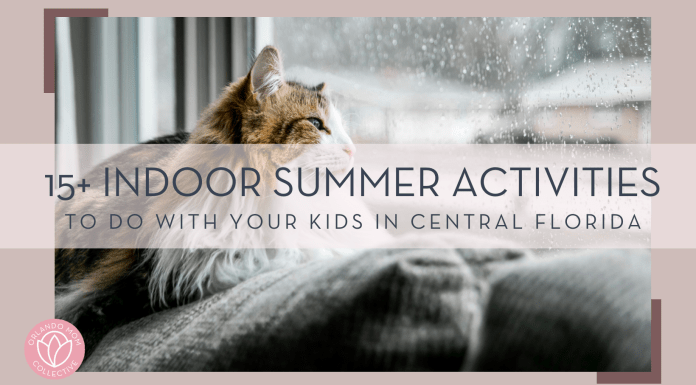 Keenan Barber via unsplash photo of a cat on the back of a couch looking out a rainy window with words '15+ summer activities to do with your kids in Central Florida' overtop